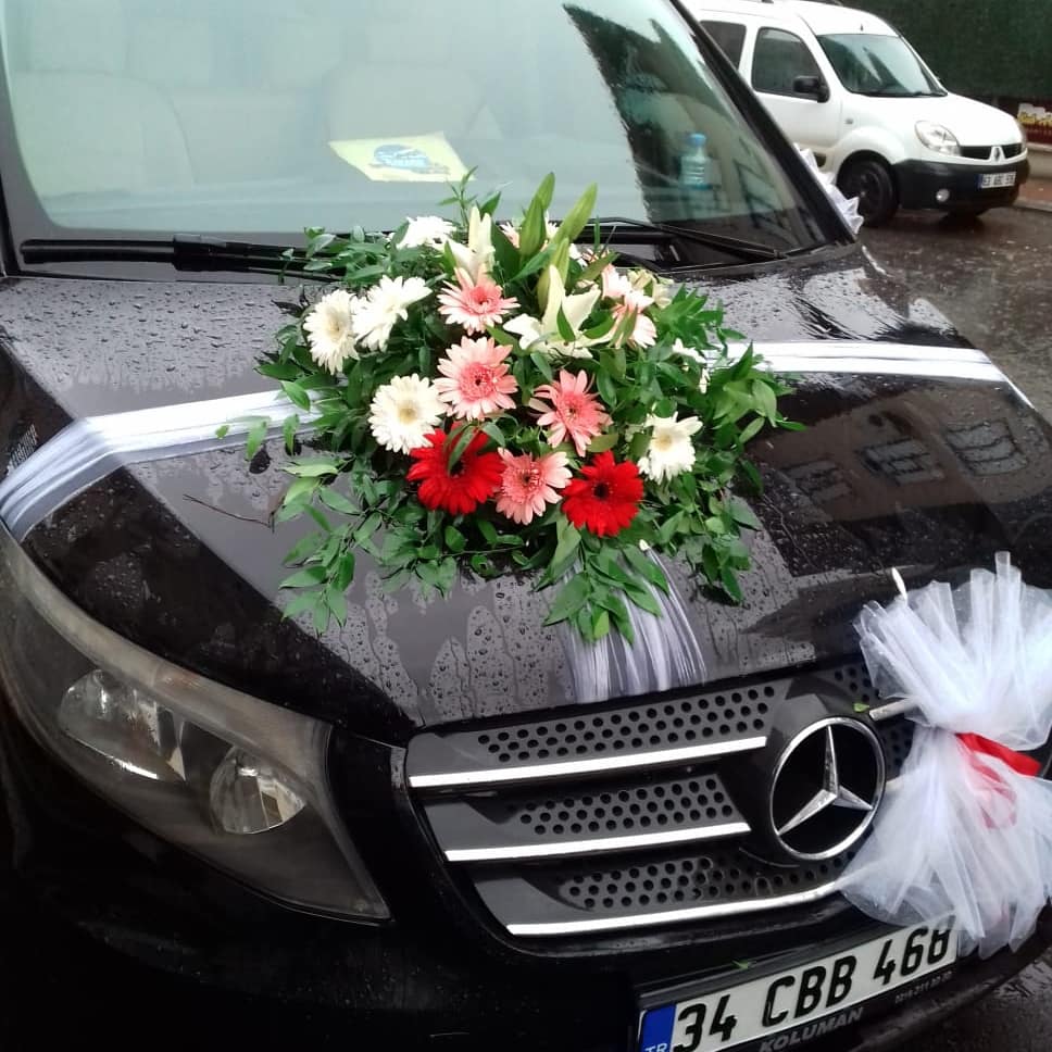 Vip Vitolarımız